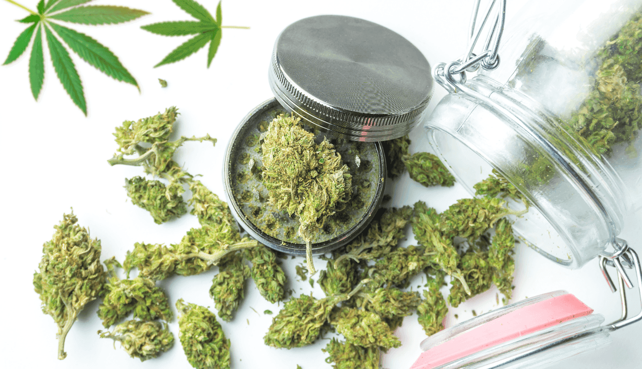 Frische Cannabisblüten auf einem Tisch mit einem Glasbehälter.